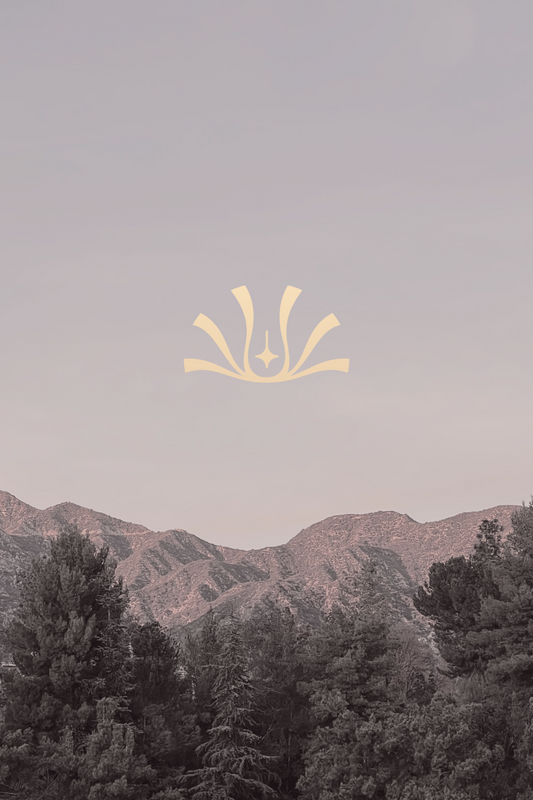 ✦ A Founder’s Note